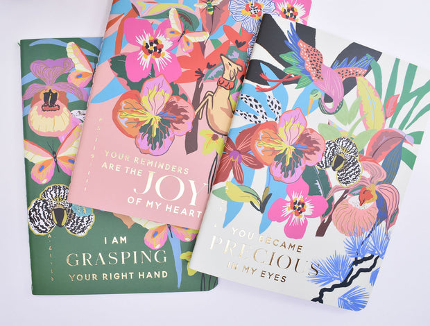 3 Pack : Pocket Notebooks + Stickers