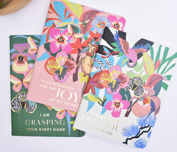 3 Pack : Pocket Notebooks + Stickers