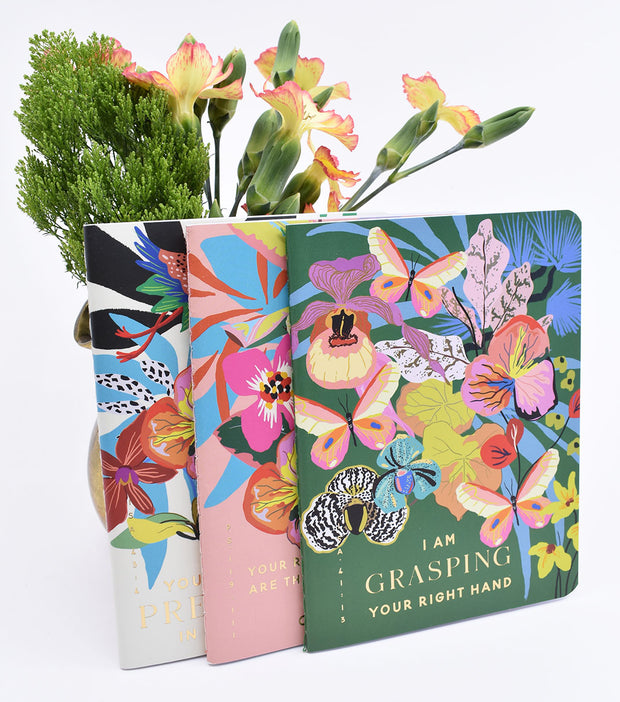 3 Pack : Pocket Notebooks + Stickers