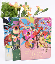 3 Pack : Pocket Notebooks + Stickers