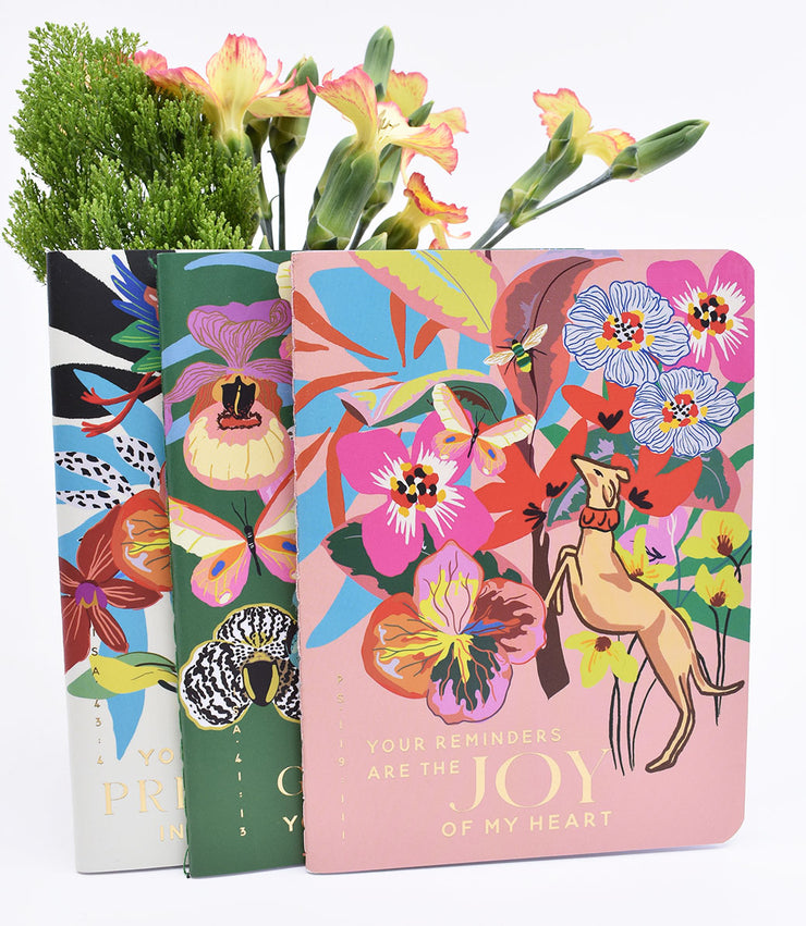 3 Pack : Pocket Notebooks + Stickers