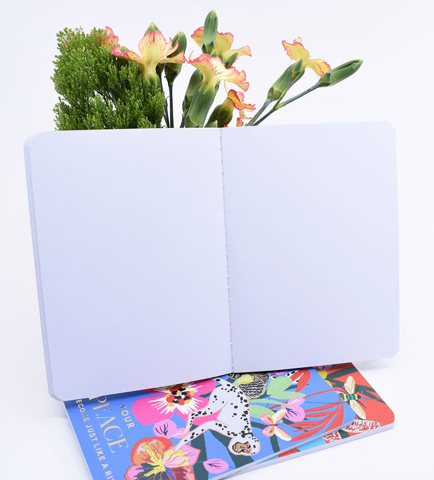 3 Pack : Pocket Notebooks + Stickers