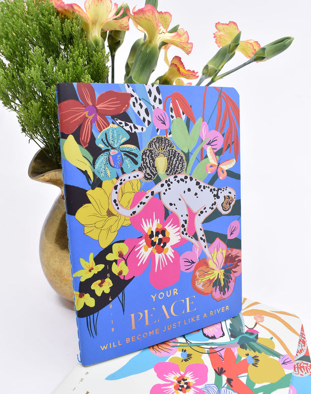 3 Pack : Pocket Notebooks + Stickers