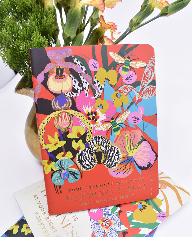 3 Pack : Pocket Notebooks + Stickers