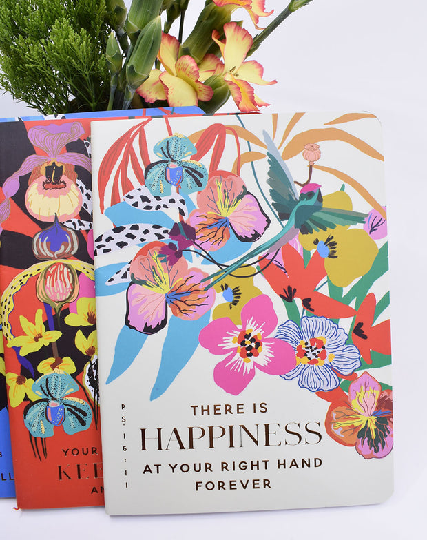 3 Pack : Pocket Notebooks + Stickers
