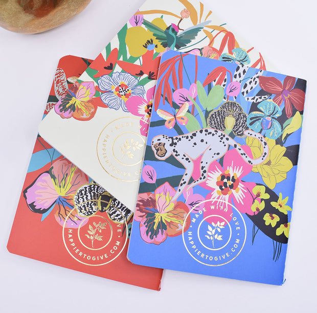 3 Pack : Pocket Notebooks + Stickers