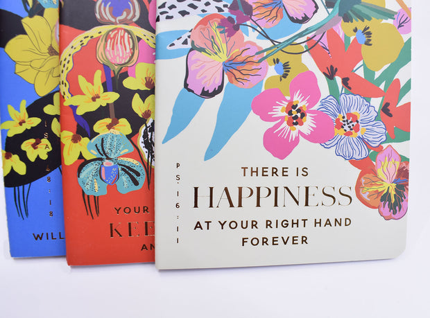 3 Pack : Pocket Notebooks + Stickers