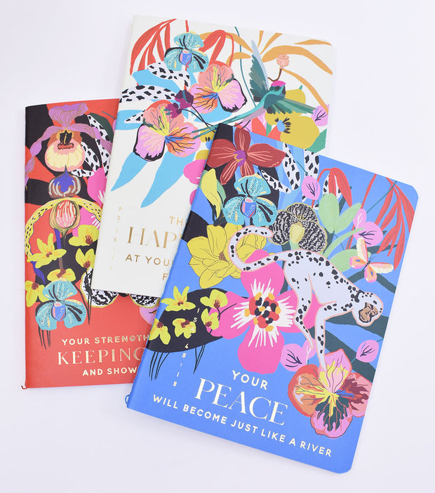 3 Pack : Pocket Notebooks + Stickers