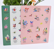 3 Pack : Pocket Notebooks + Stickers
