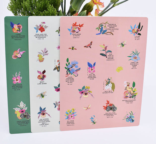 3 Pack : Pocket Notebooks + Stickers