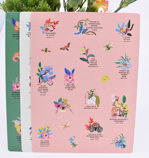 3 Pack : Pocket Notebooks + Stickers