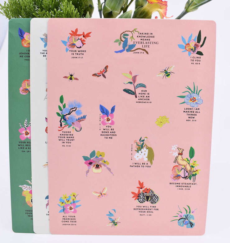 3 Pack : Pocket Notebooks + Stickers