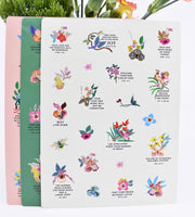 3 Pack : Pocket Notebooks + Stickers