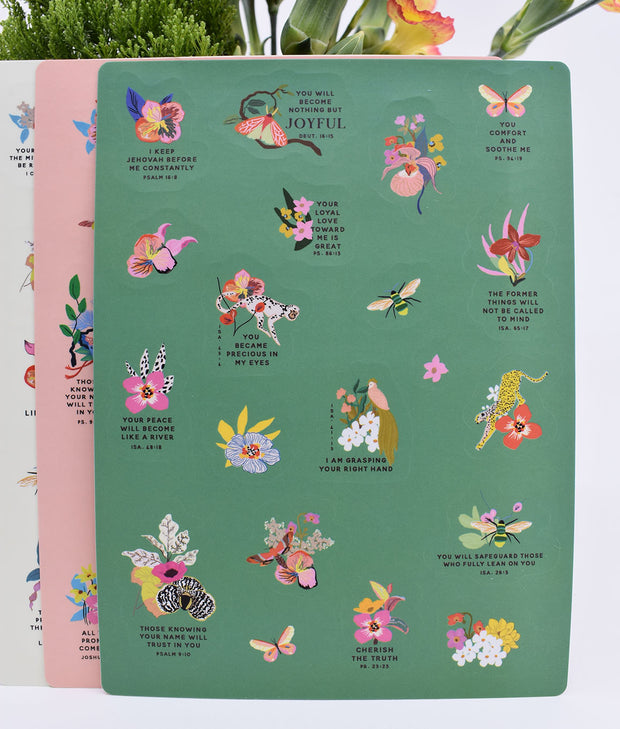 3 Pack : Pocket Notebooks + Stickers