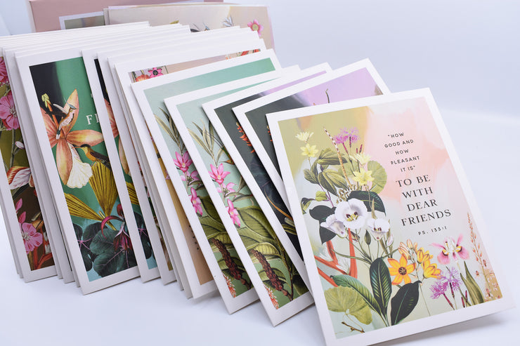 Botanical Box of 20 Greeting Cards + 5 Sticker Sheets : 50% off