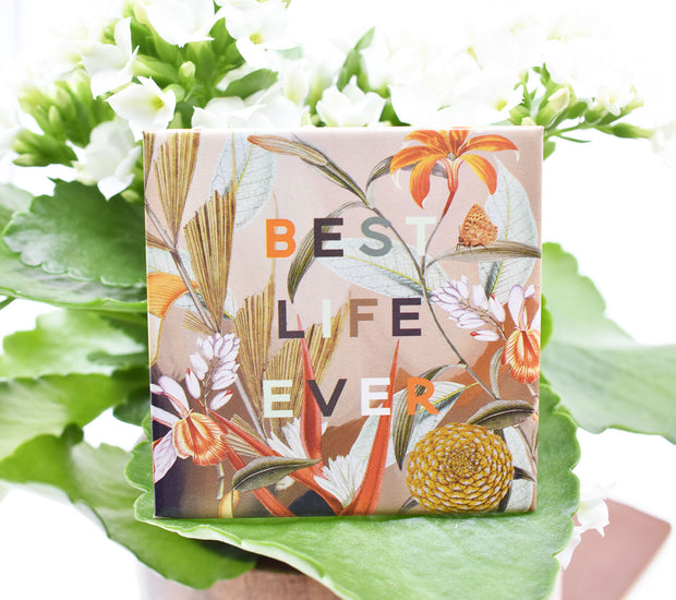 2 Pack : Happy Ministry Botanical Magnets : 70% off